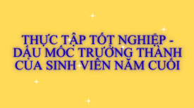 Thực tập - Dấu mốc trưởng thành của sinh viên năm cuối